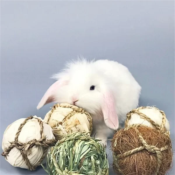 Pet Rabbit Hamster Chewing Ball - Image 2